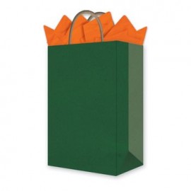 Bolsa de Regalo Granmark Mediana Kraft Verde