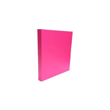 Carpeta Tamaño Carta 1" Herraje O Stuk Neón Rosa