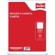 Hojas para Carpeta Tamaño Carta Cuadro Chico Scribe 100 hojas