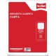 Hojas para Carpeta Tamaño Carta Cuadro Chico Scribe 100 hojas