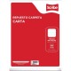 Hojas para Carpeta Tamaño Carta Rayadas Scribe 100 hojas