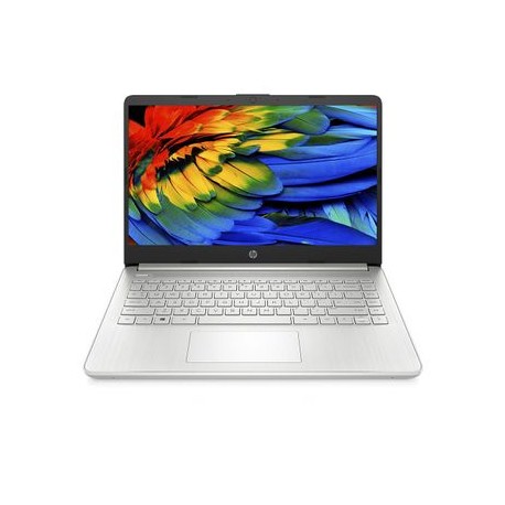 Laptop HP 14-fq1011la RAM 8GB SSD 256GB AMD Ryzen 5 W11 14" Plata