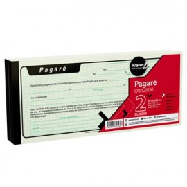 Pagare 1/3  Con 50 Hjs, 2 Pzs