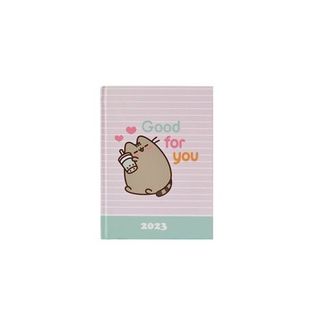 Agenda Diaria 2023 Danpex Pusheen Rosa